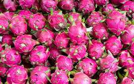 The Vietnamese Dragon Fruit Craze